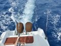 Royal_Island_056